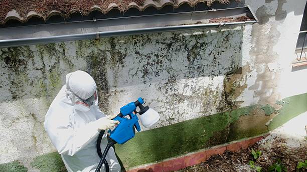 Clearance testing in Falkland